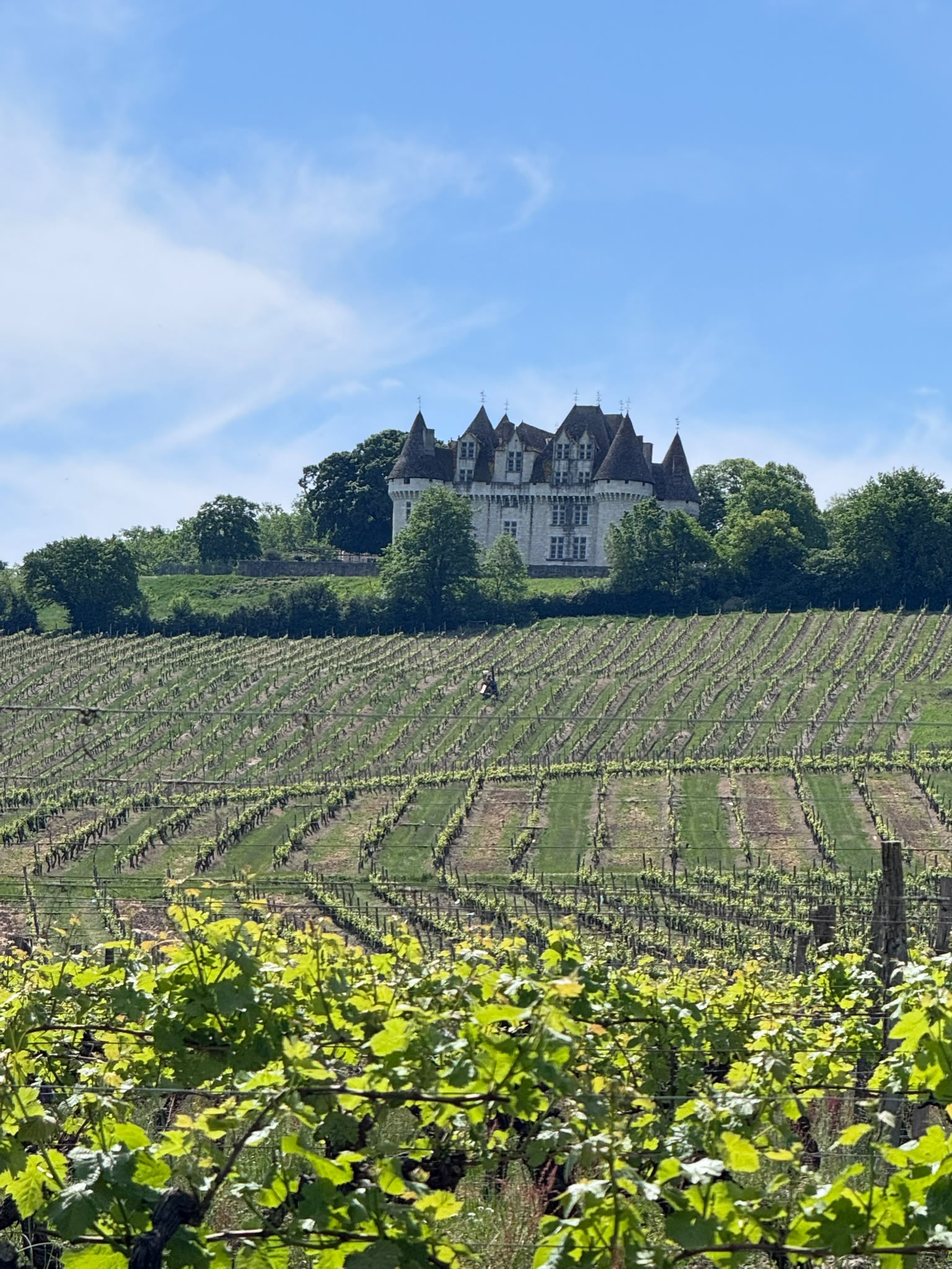 Monbazillac